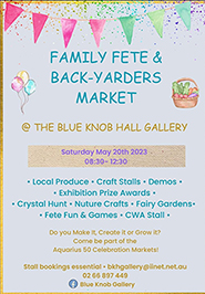 Family Fete